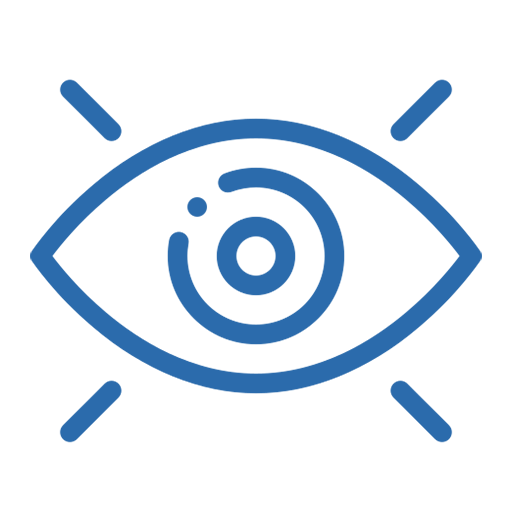 Our Vision